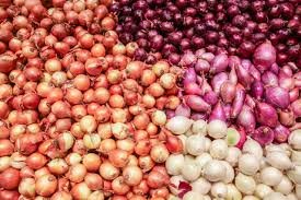 Fresh Onions